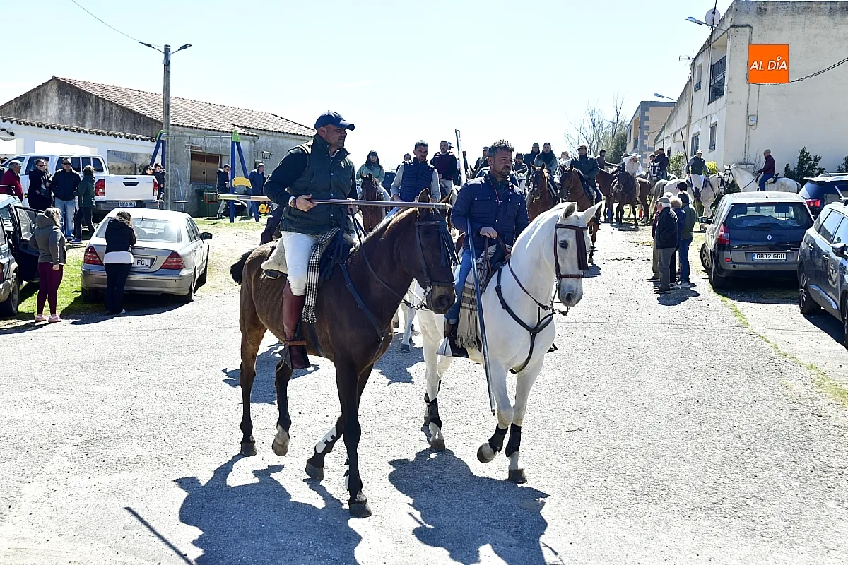 Paseo con bueyes y caballos en las Fiestas de Conejera 