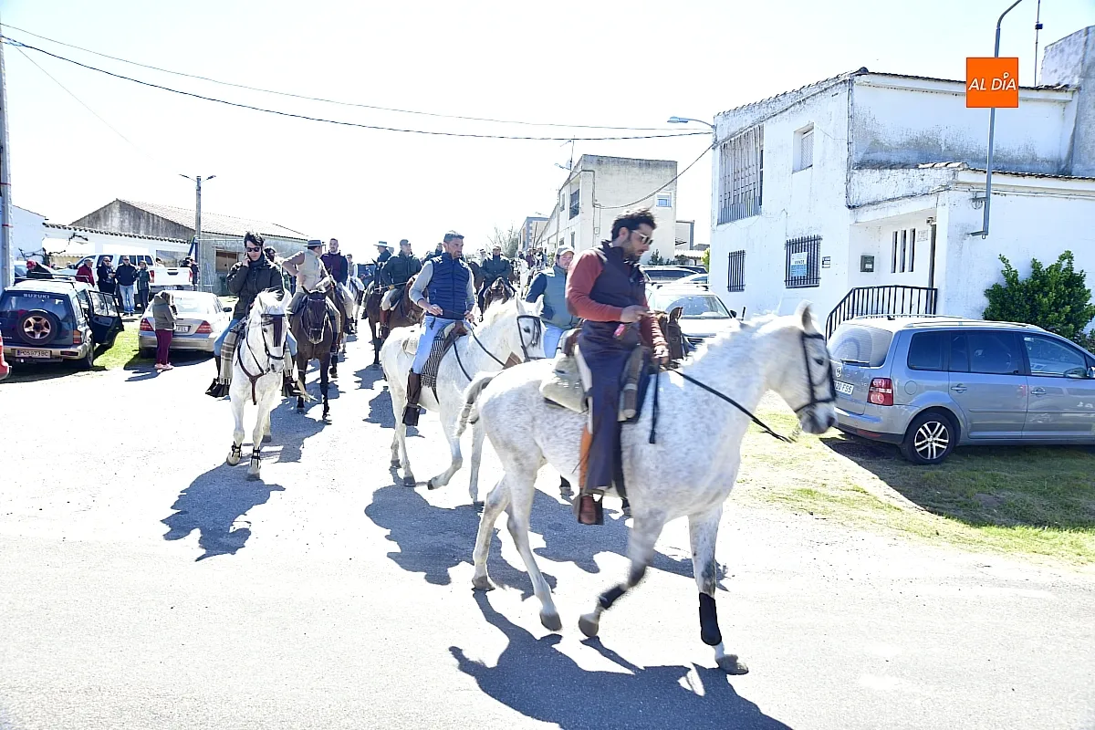 Paseo con bueyes y caballos en las Fiestas de Conejera 