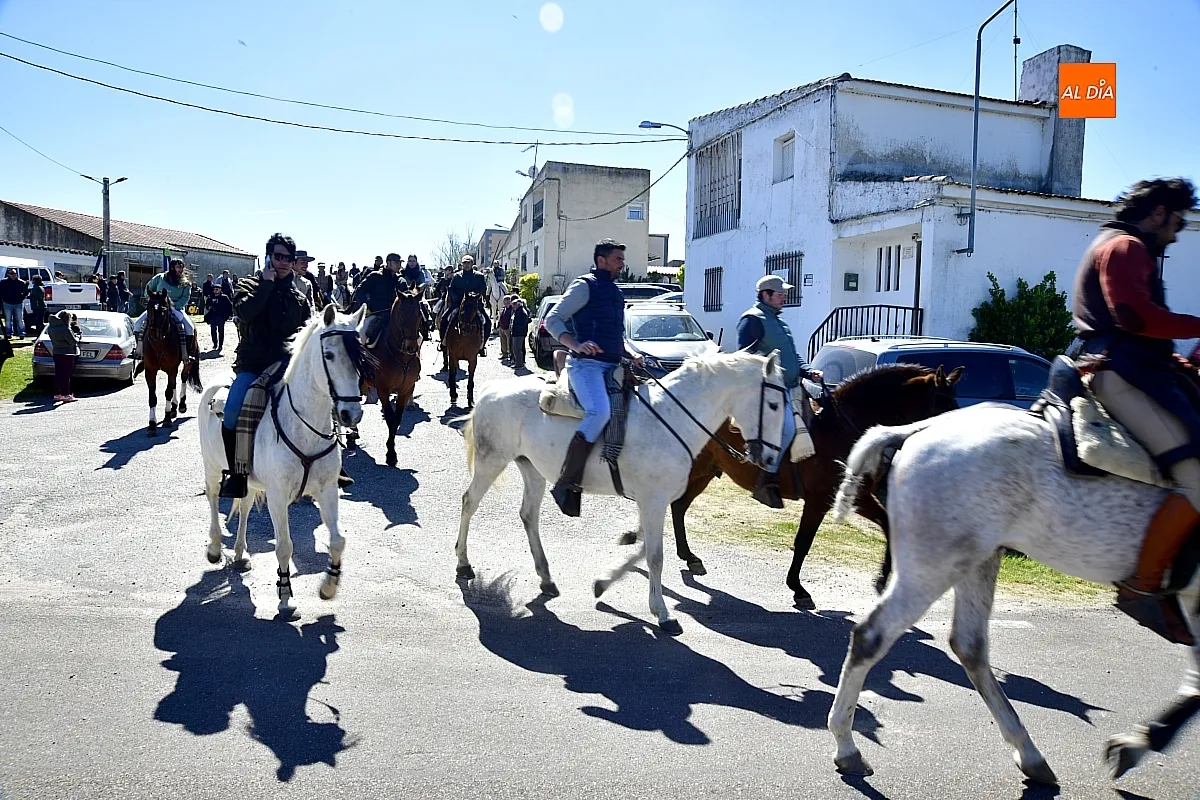 Paseo con bueyes y caballos en las Fiestas de Conejera 