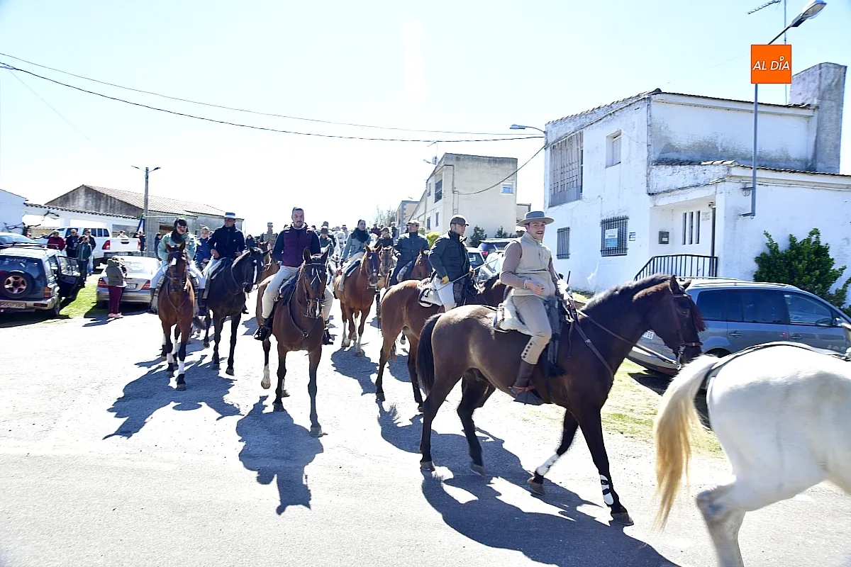 Paseo con bueyes y caballos en las Fiestas de Conejera 