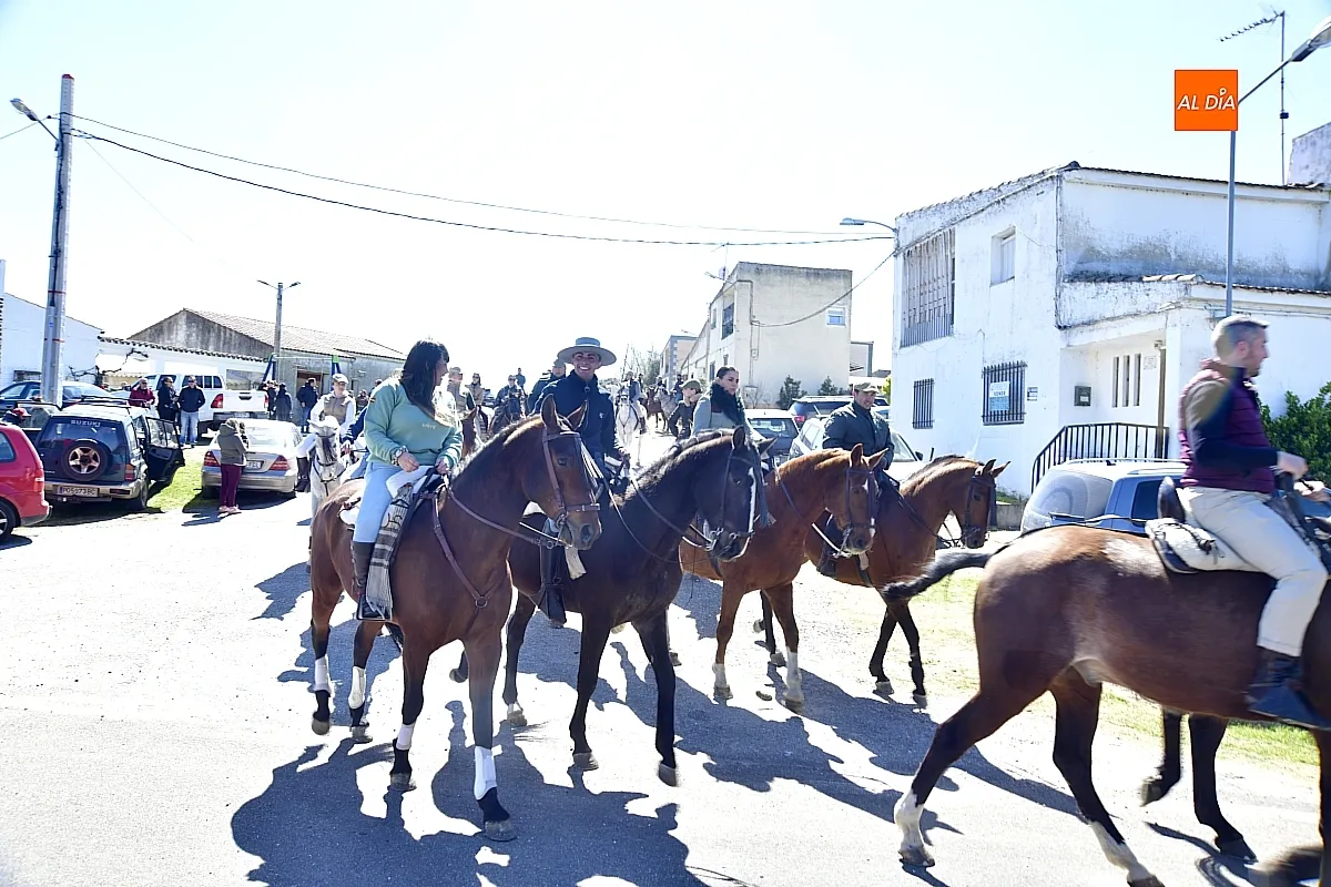 Paseo con bueyes y caballos en las Fiestas de Conejera 