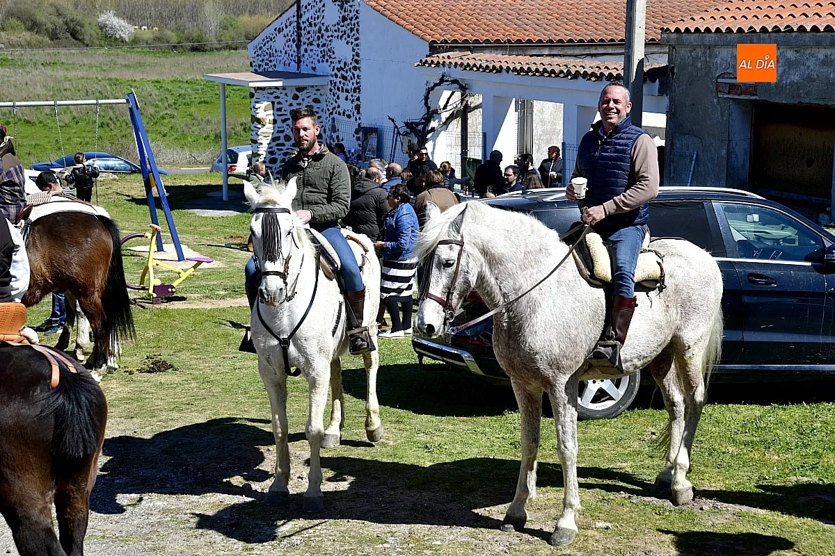 Paseo con bueyes y caballos en las Fiestas de Conejera 