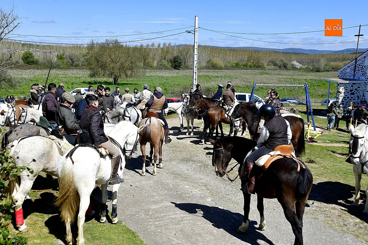 Paseo con bueyes y caballos en las Fiestas de Conejera 