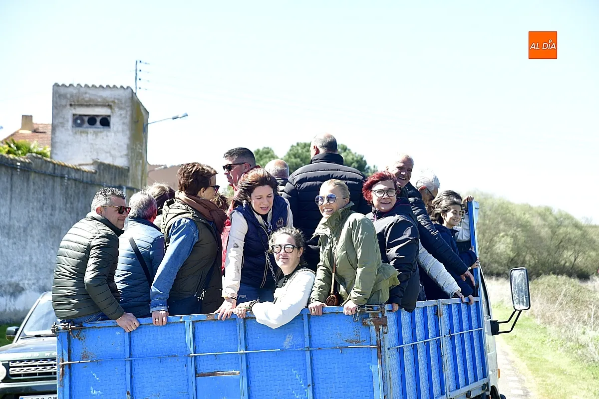 Paseo con bueyes y caballos en las Fiestas de Conejera 