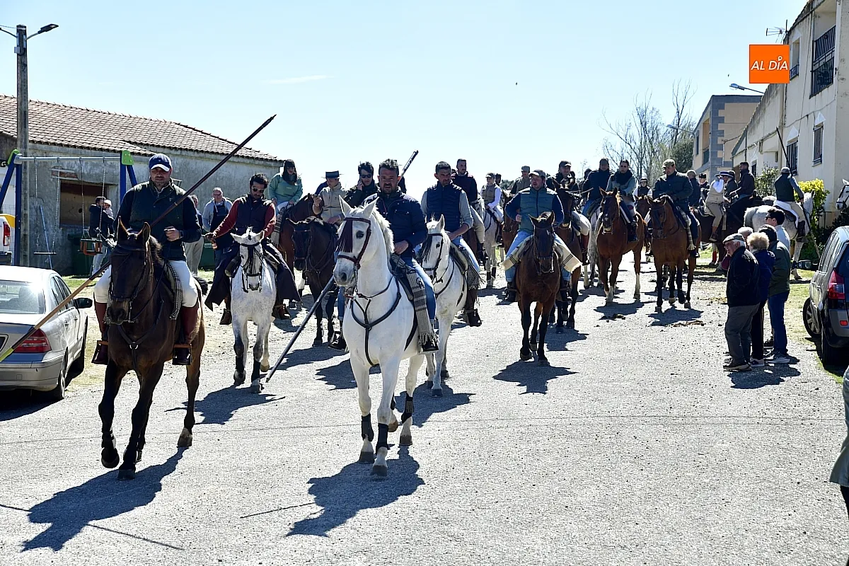 Paseo con bueyes y caballos en las Fiestas de Conejera 