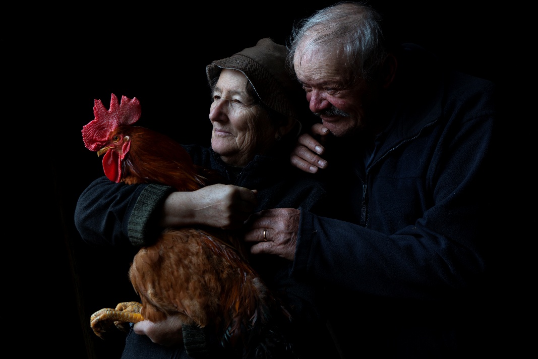 Ganadores del VI Concurso de Fotografía CENIE de la USAL