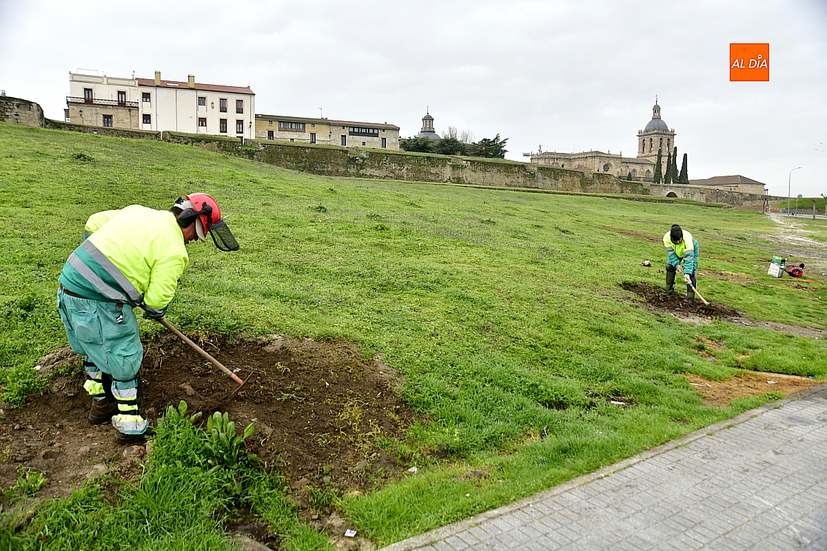 Ciudad Rodrigo repara el glacis tras los daños del Carnaval