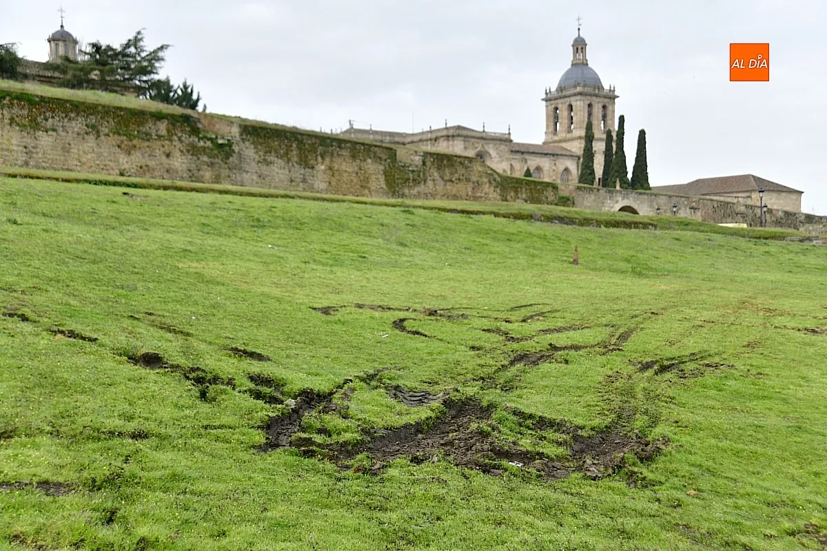 Trabajos de reacondicionado del glacis de la muralla mirobrigense