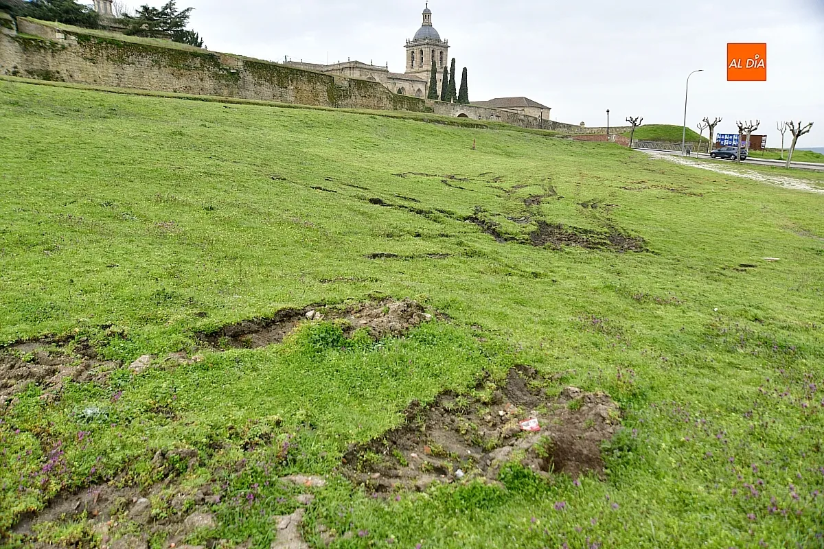 Trabajos de reacondicionado del glacis de la muralla mirobrigense