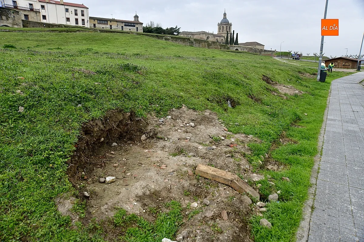 Trabajos de reacondicionado del glacis de la muralla mirobrigense