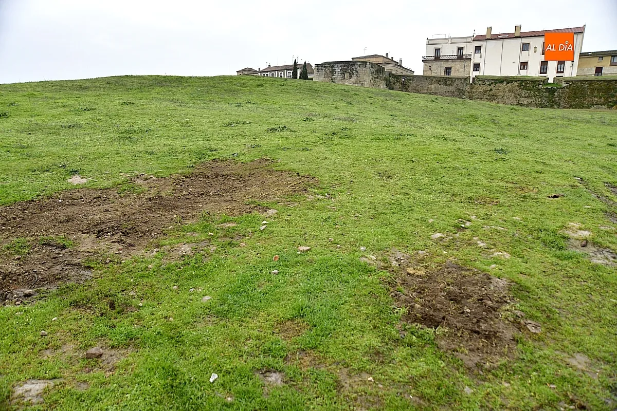 Trabajos de reacondicionado del glacis de la muralla mirobrigense
