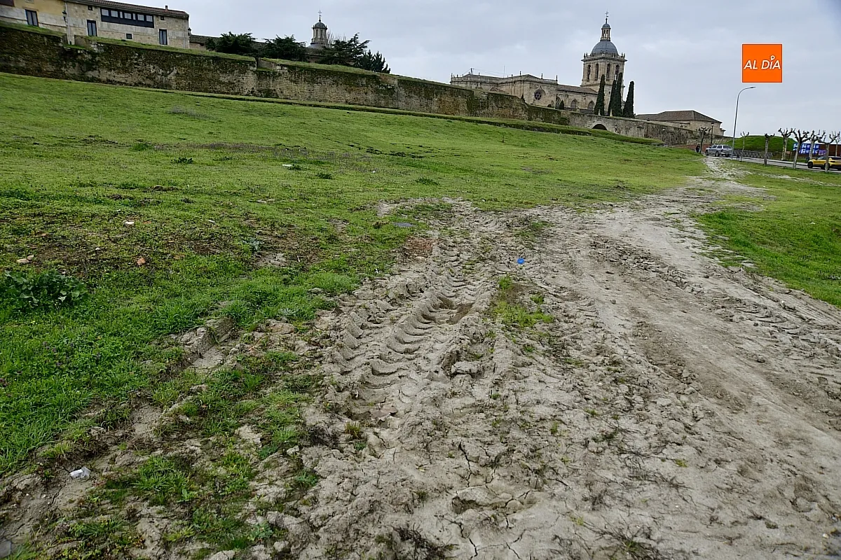 Trabajos de reacondicionado del glacis de la muralla mirobrigense