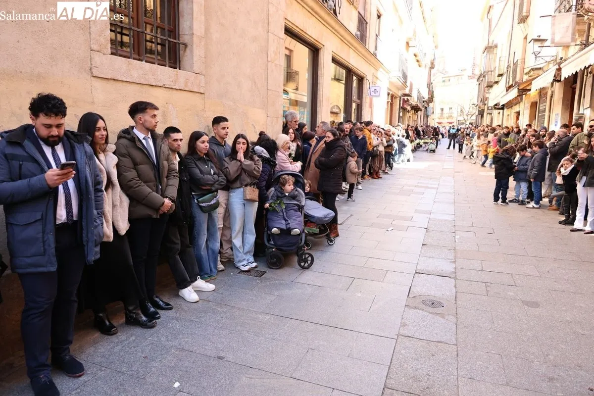 La Borriquilla vuelve a emocionar en Salamanca este Domingo de Ramos | FOTOS: David Sañudo
