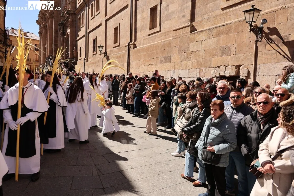 La Borriquilla vuelve a emocionar en Salamanca este Domingo de Ramos | FOTOS: David Sañudo