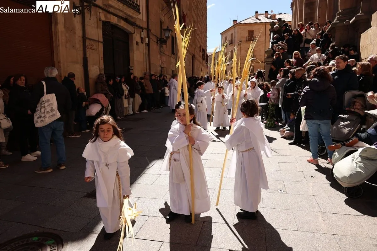 La Borriquilla vuelve a emocionar en Salamanca este Domingo de Ramos | FOTOS: David Sañudo