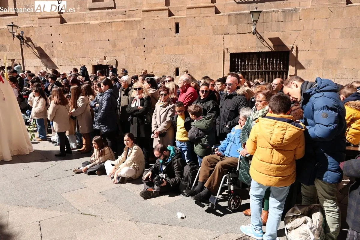 La Borriquilla vuelve a emocionar en Salamanca este Domingo de Ramos | FOTOS: David Sañudo