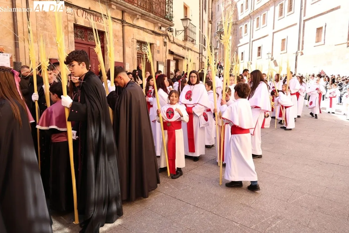 La Borriquilla vuelve a emocionar en Salamanca este Domingo de Ramos | FOTOS: David Sañudo