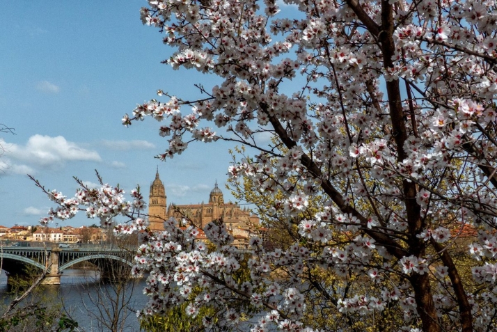 Catedral de Salamanca