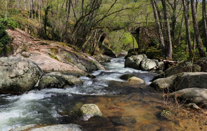 SALAMANCA. Río Francia. Santibáñez del Río
