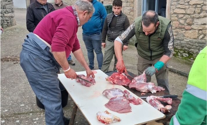 Peralejos de Abajo celebra su tradicional matanza del cerdo