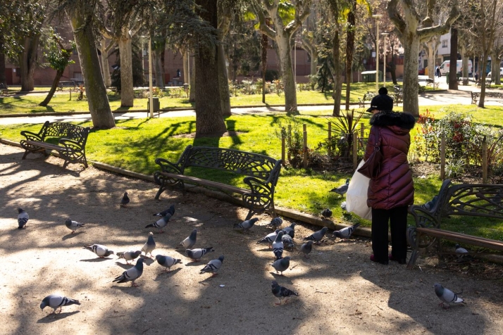 ¿Somos como las palomas? 