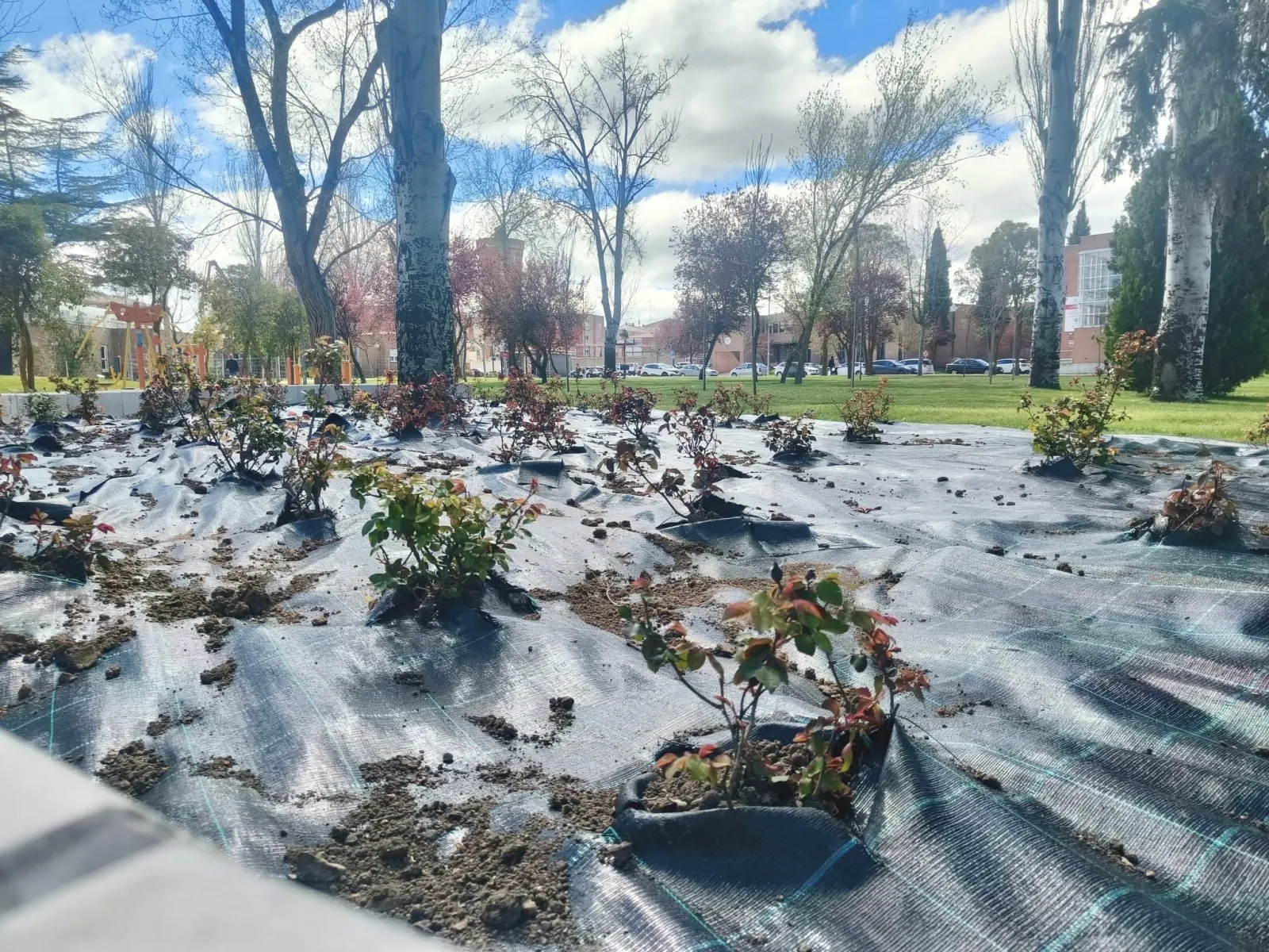Parque Los Jardines en Peñaranda