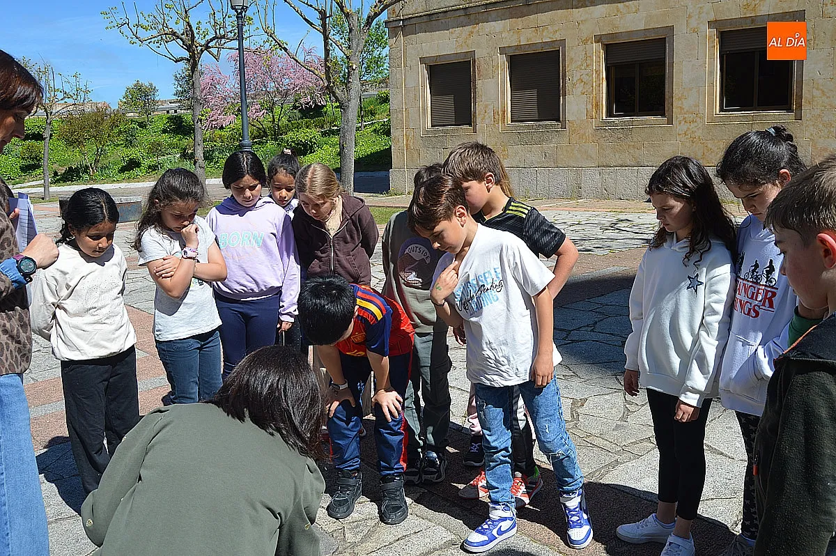 Actividades sobre la Guerra de la Independencia de los colegios San Francisco y Miróbriga 