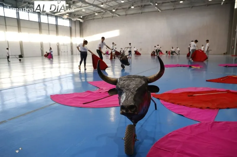 Los cambios que llegan a la Escuela de Tauromaquia, tras la actualización de su reglamento