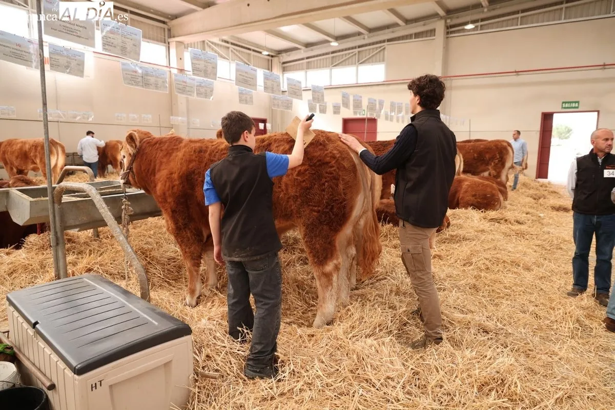 Javier Iglesias inaugura Bovinum 2026, la nueva feria ganadera de Salamanca que busca acercar el sector rural al público urbano
