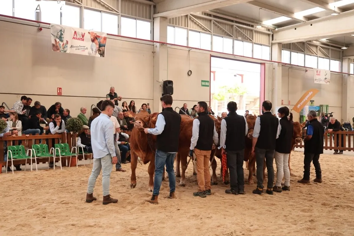 Javier Iglesias inaugura Bovinum 2026, la nueva feria ganadera de Salamanca que busca acercar el sector rural al público urbano