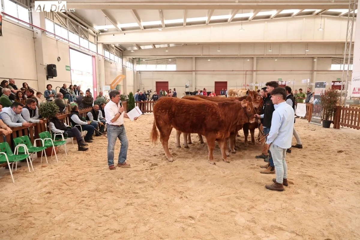 Javier Iglesias inaugura Bovinum 2026, la nueva feria ganadera de Salamanca que busca acercar el sector rural al público urbano