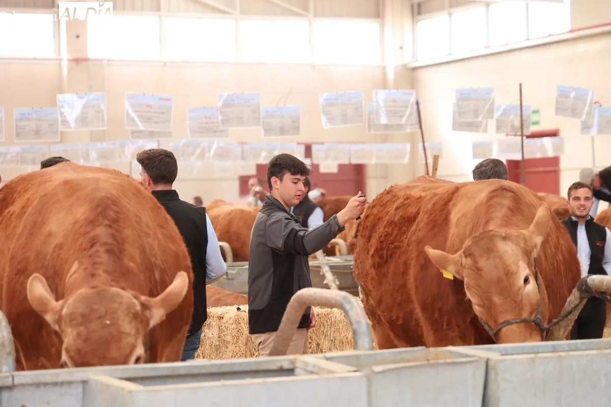 Javier Iglesias inaugura Bovinum 2026, la nueva feria ganadera de Salamanca que busca acercar el sector rural al público urbano