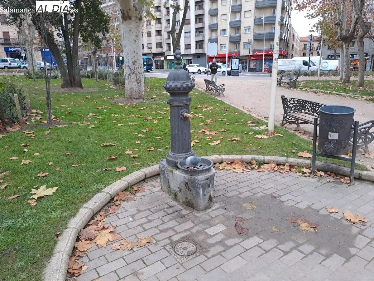 Foto 11 - De 1788 a la actualidad: &iquest;Cu&aacute;ntas fuentes hay en la ciudad de Salamanca?