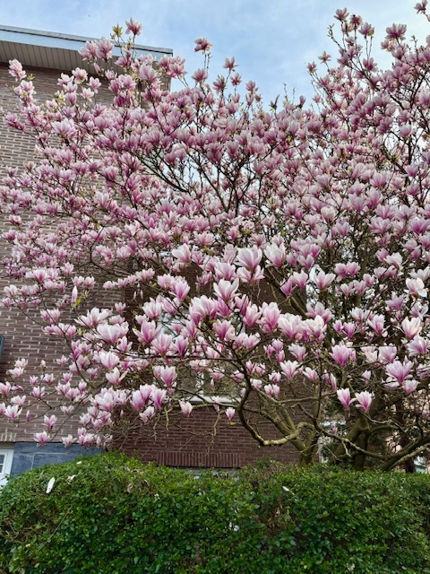 Las columnas no se escriben solas