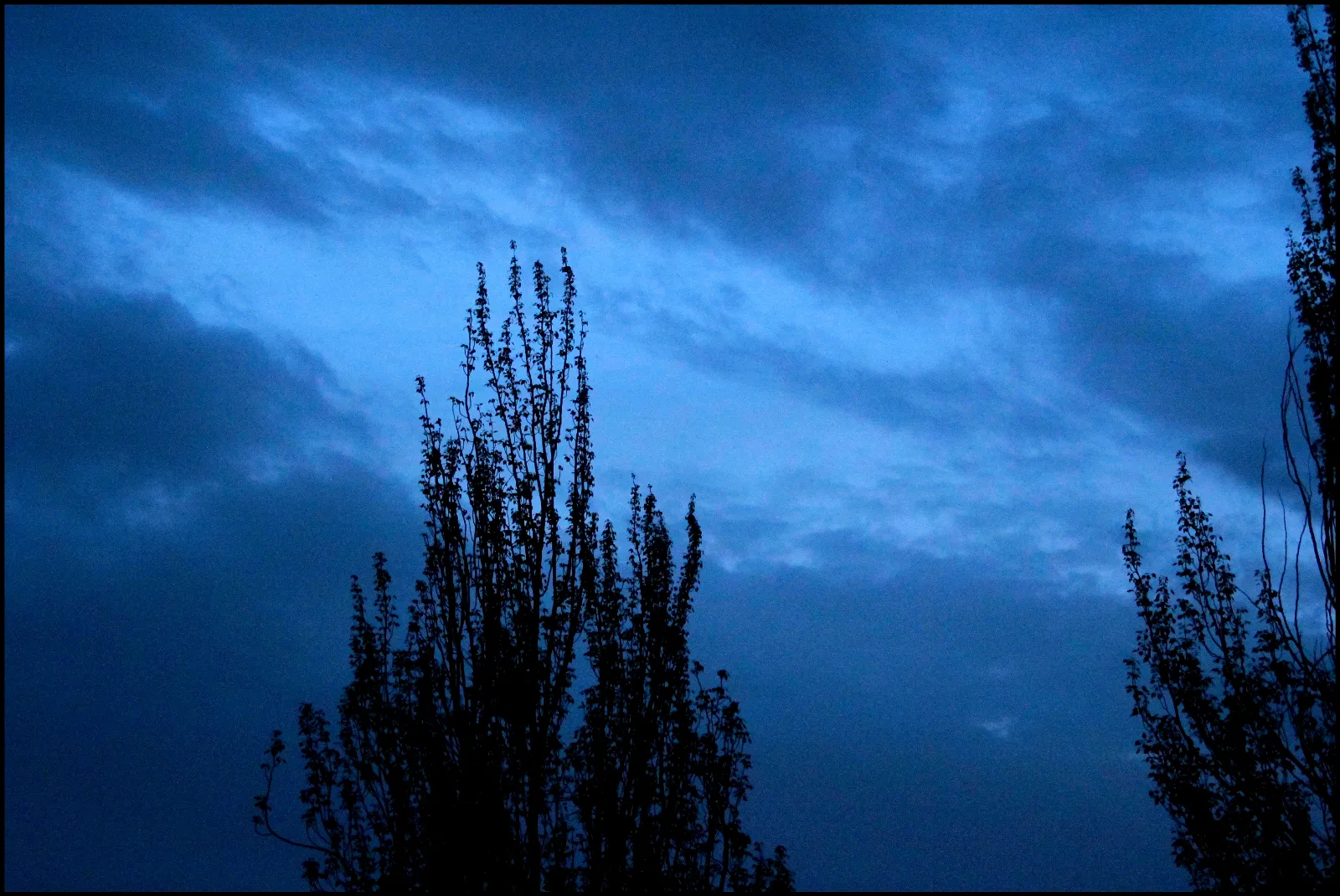 Foto 4 - La persistencia de la luz 