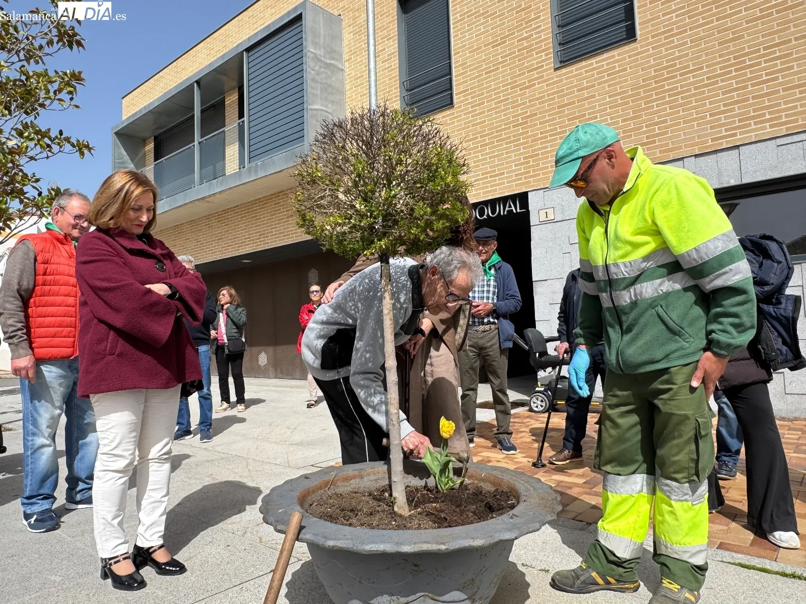 Foto 6 - Tulipanes, luz verde, concienciaci&oacute;n y solidaridad: Pe&ntilde;aranda se vuelca con los pacientes de Parkinson y sus familias