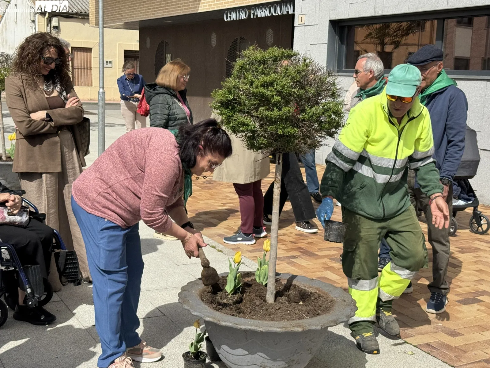 Foto 4 - Tulipanes, luz verde, concienciaci&oacute;n y solidaridad: Pe&ntilde;aranda se vuelca con los pacientes de Parkinson y sus familias