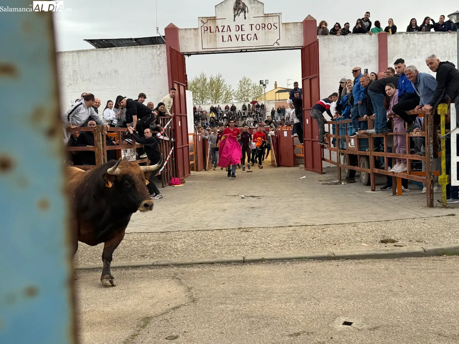Foto 8 - Bravura, quiebros y emoci&oacute;n en el Toro del Voto de Villor&iacute;a