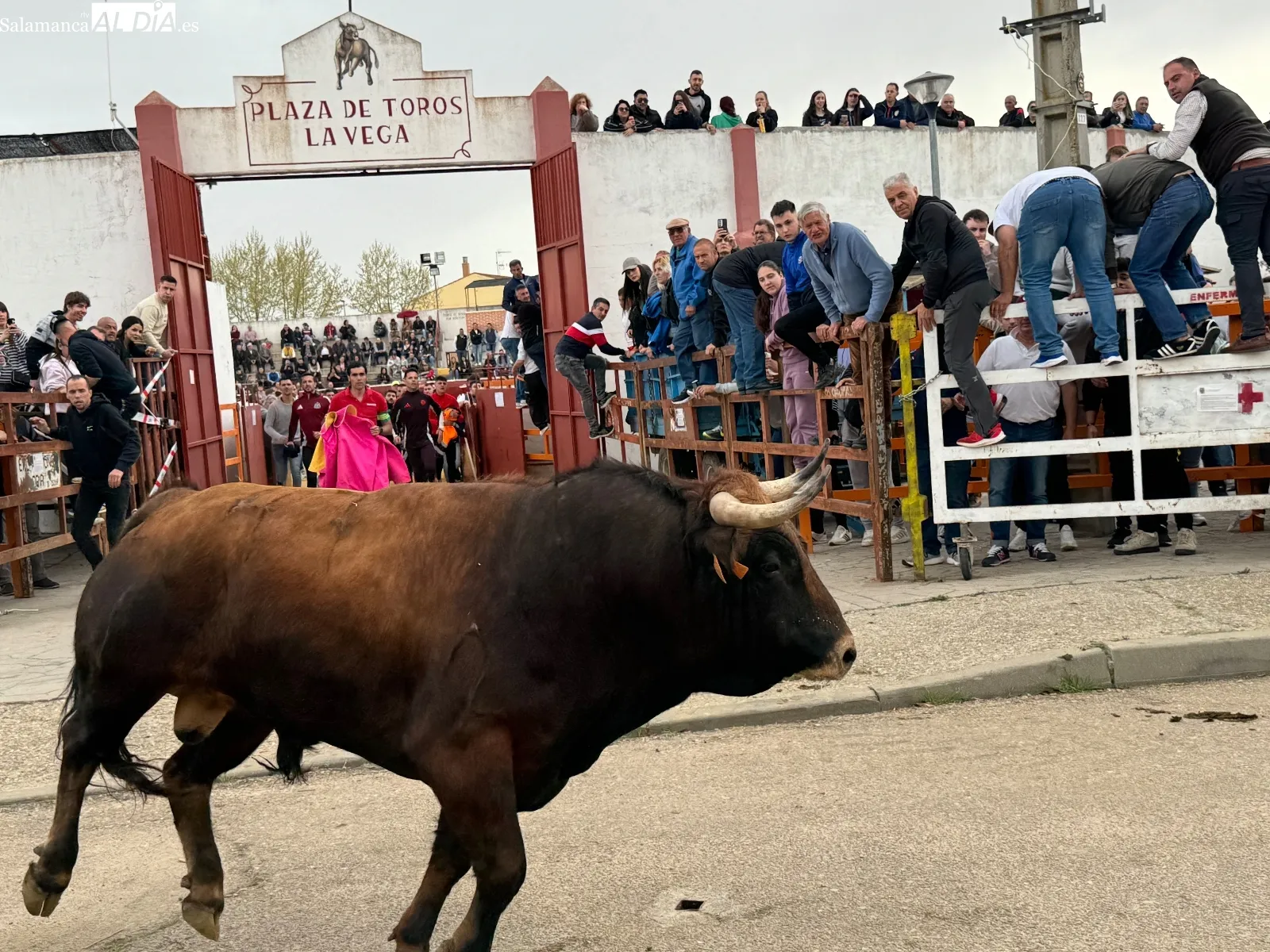 Foto 9 - Bravura, quiebros y emoci&oacute;n en el Toro del Voto de Villor&iacute;a