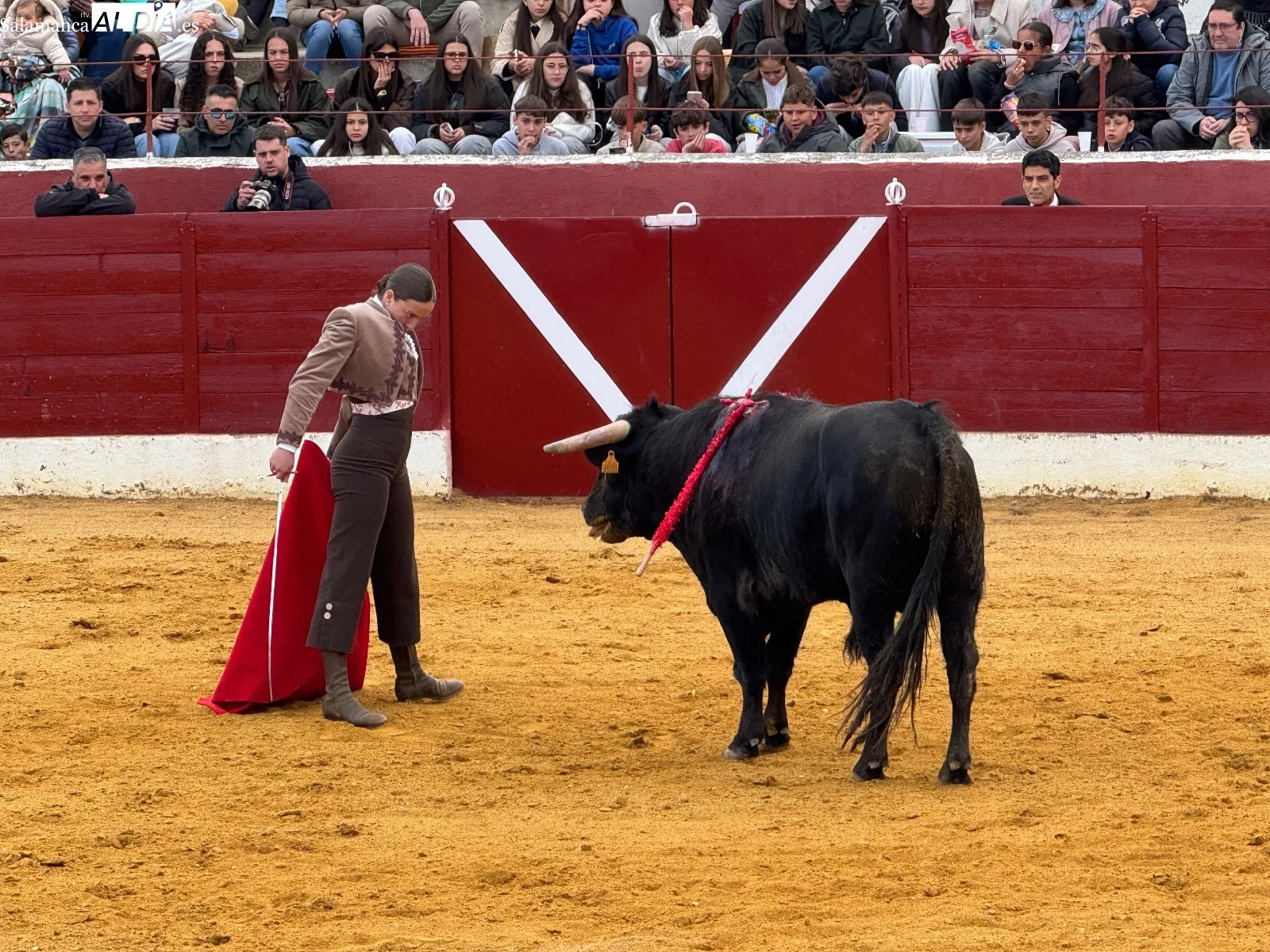 Festival taurino en Villoria
