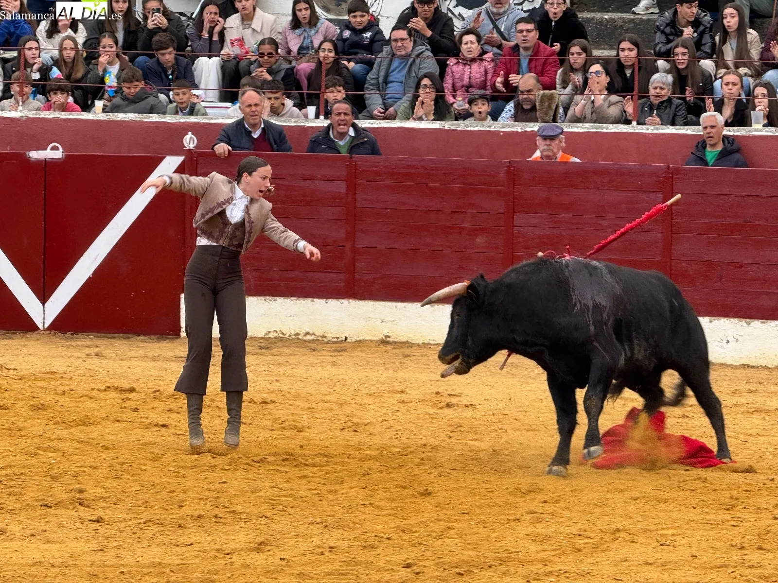 Festival taurino en Villoria