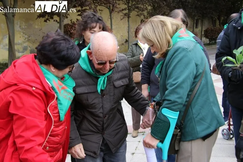 Foto 10 - Alba de Tormes se suma al D&iacute;a Mundial del Parkinson con la plantaci&oacute;n de tulipanes