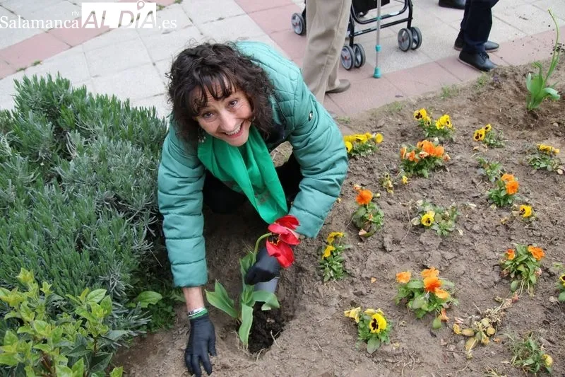 Foto 7 - Alba de Tormes se suma al D&iacute;a Mundial del Parkinson con la plantaci&oacute;n de tulipanes