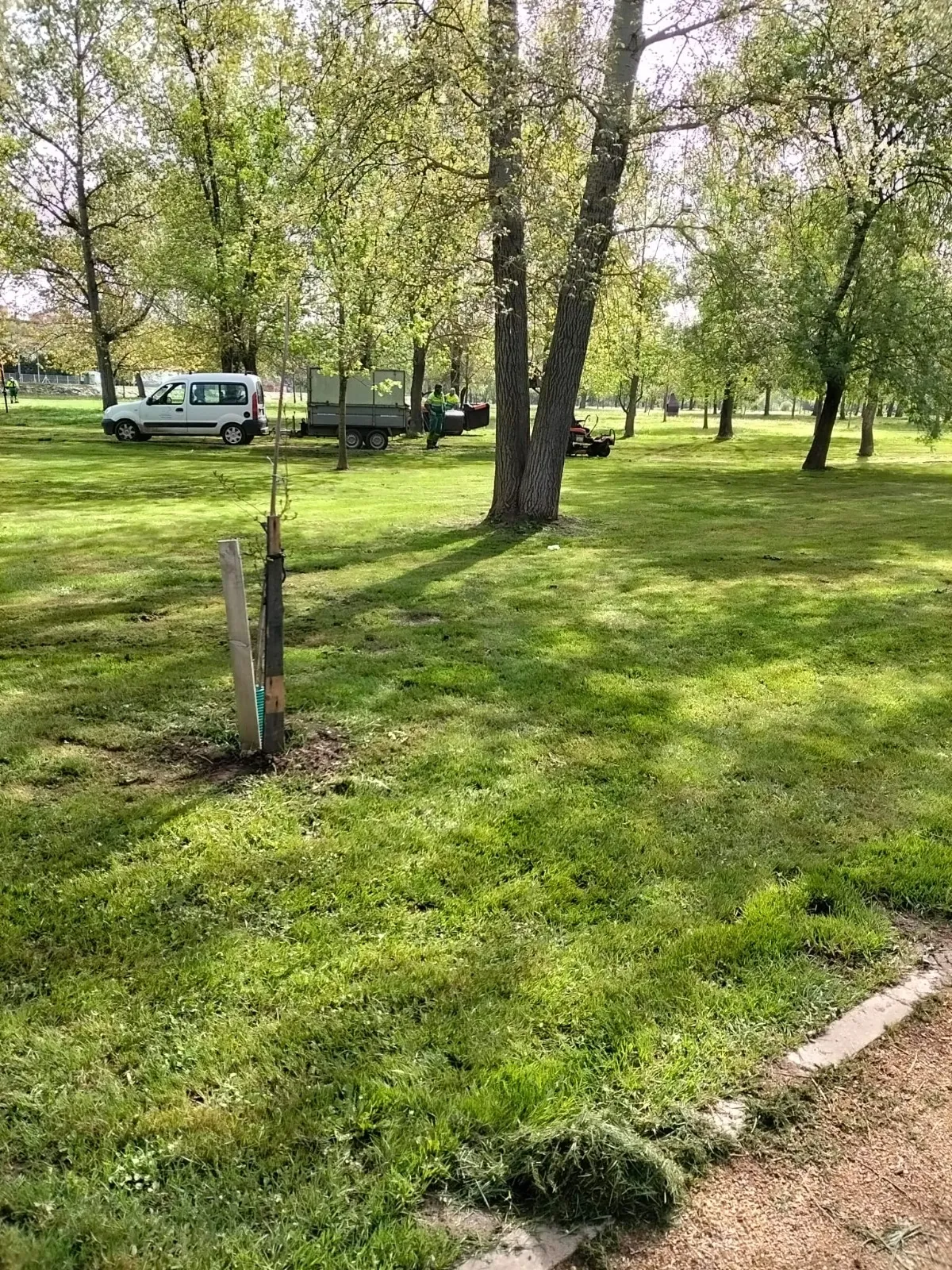 Mantenimiento El Picón de la Pesquera y la Alameda Vieja para el Lunes de Aguas