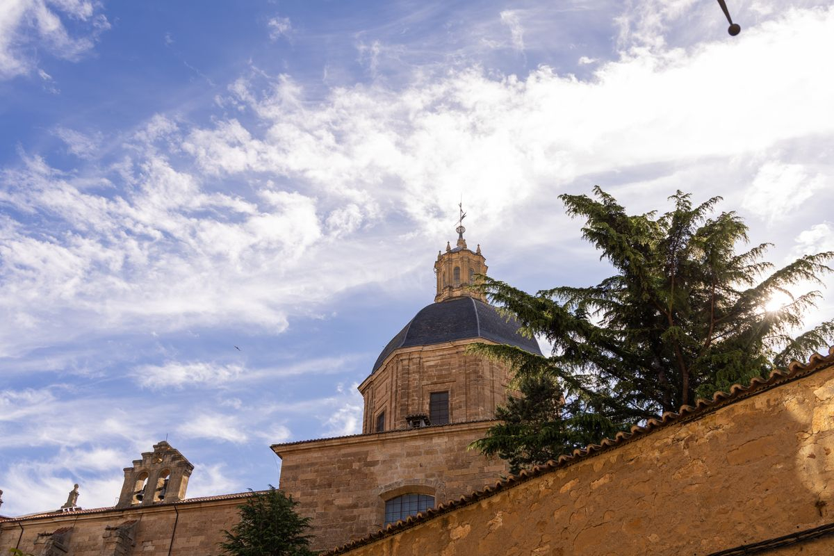 Foto 2 - Para la alegr&iacute;a de todo el mundo 