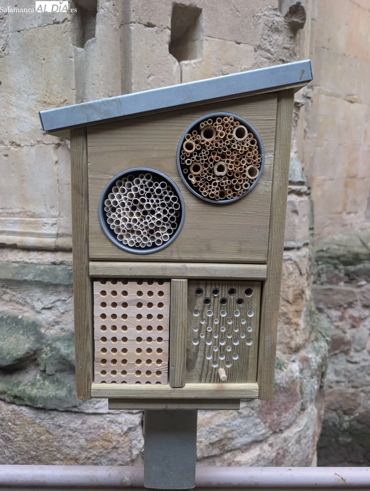 Inauguración del nuevo refugio para insectos en pleno centro de Salamanca, en el patio de la Casa-Museo Unamuno. Foto de David Sañudo