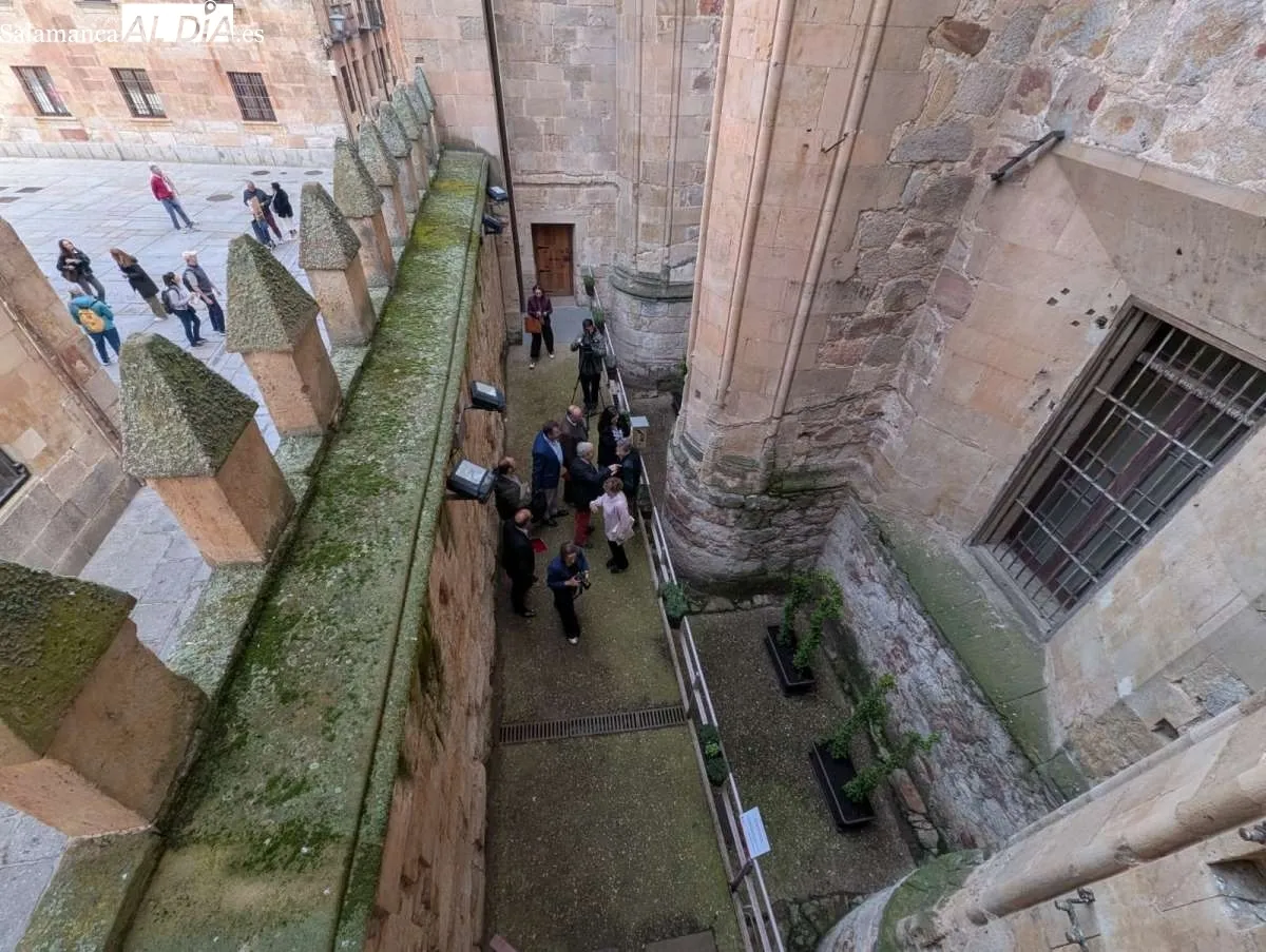 Inauguración del nuevo refugio para insectos en pleno centro de Salamanca, en el patio de la Casa-Museo Unamuno. Foto de David Sañudo