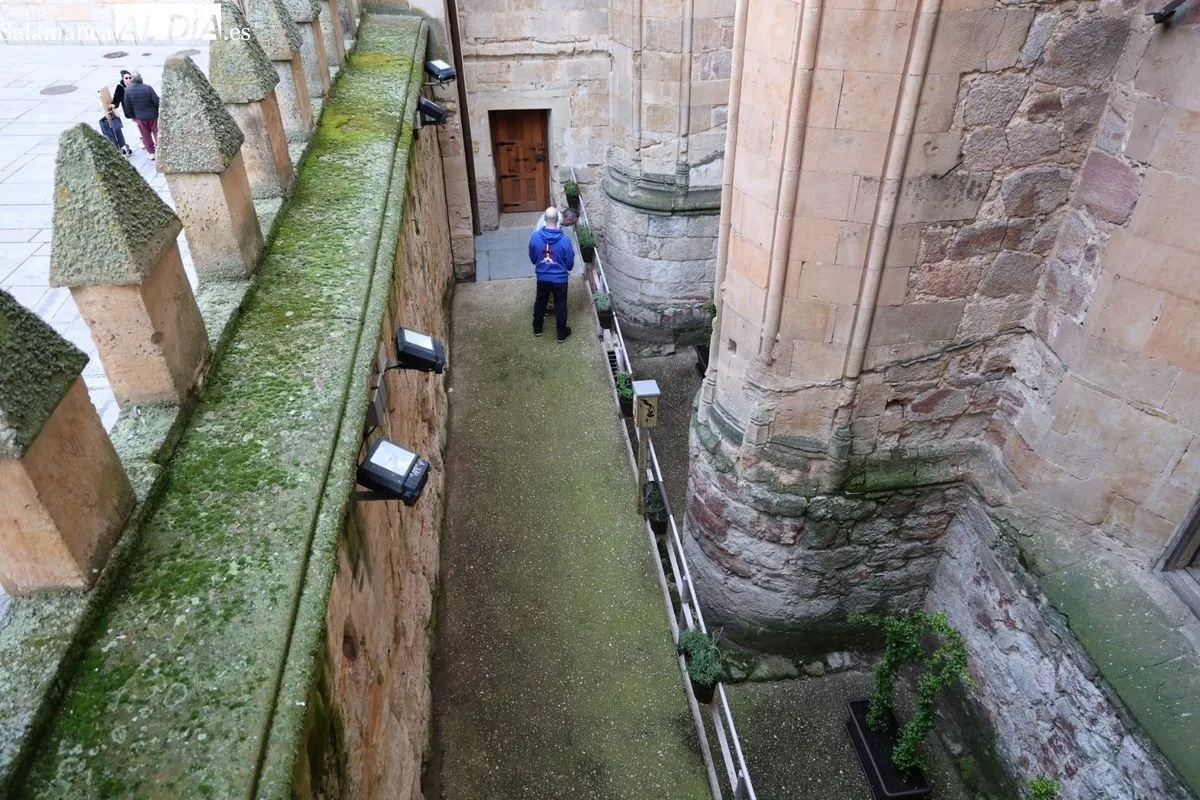 Inauguración del nuevo refugio para insectos en pleno centro de Salamanca, en el patio de la Casa-Museo Unamuno. Foto de David Sañudo