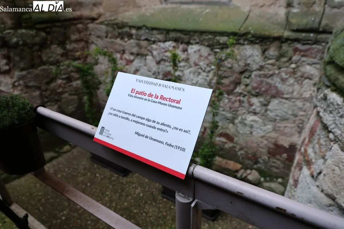 Inauguración del nuevo refugio para insectos en pleno centro de Salamanca, en el patio de la Casa-Museo Unamuno. Foto de David Sañudo