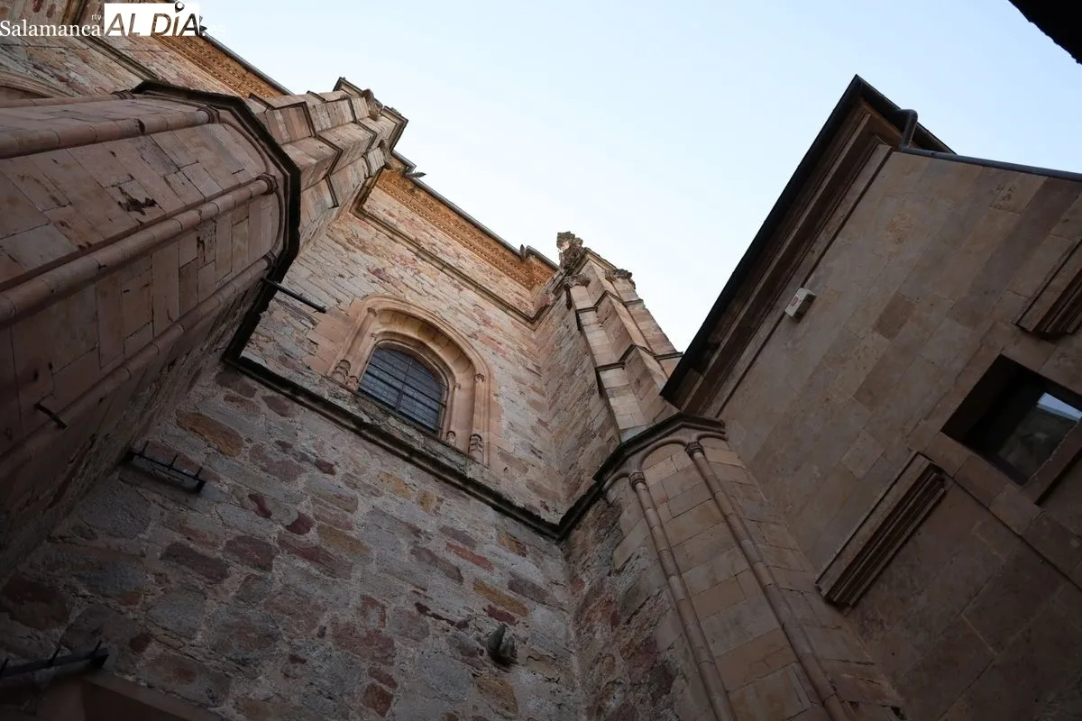 Inauguración del nuevo refugio para insectos en pleno centro de Salamanca, en el patio de la Casa-Museo Unamuno. Foto de David Sañudo